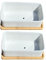 White Succulent and Cactus Trough Plant Pots (Set of 2), Outdoor, Small