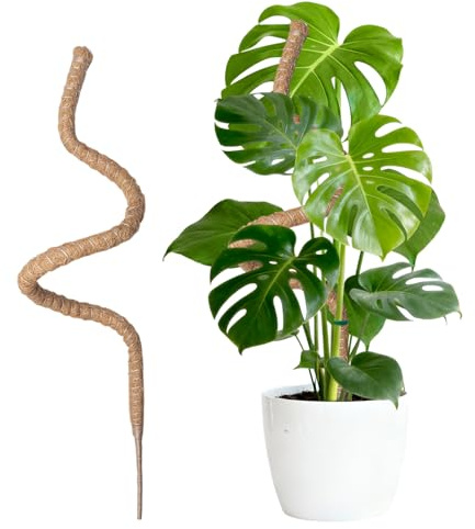 Wigearss Bastone di Muschio, Palo Cocco Piante Sostegno Piante Supporti, Pieghevoli Fibra di Cocco, Tutore Muschiato per Monstera Rampicanti, 150cm