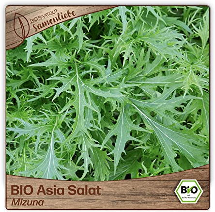 Samenliebe BIO Asia Salat Samen alte Sorte Mizuna kohlig feinwürziger Blattsenf Wintersalat grün 0,9g samenfestes Gemüse Saatgut für Gewächshaus Freiland und Balkon BIO Gemüsesamen winterhart