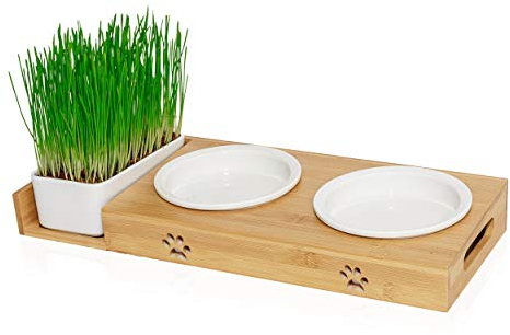 Pfotenolymp® Futterstation mit Katzengras für Katzen - Katzennapf/Futternapf aus Porzellan - erhöhtes Napf-Set mit Katzengrasschale - Fressnapf hoch