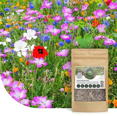 Bunte Insektenfreundliche Wildblumensamen Mischung | 250g- 125m2 | Einjährige & Mehrjährige Blumenmischung | für Wildbienen, Hummeln & Schmetterlinge | Höhe 20-180cm | Schnelle Aussaat | MRS Seeds