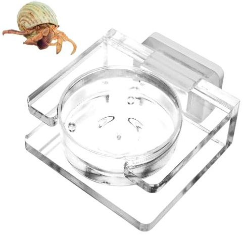 Gamelle sautante pour Reptiles | Bol d'eau magnétique en Acrylique Transparent pour araignée, lézard, lézard, araignée, Scorpion, caméléon