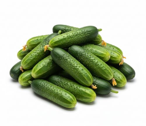 Semi Cetriolo 6g | Semi da Orto Alta Germinazione | Cetrioli Croccanti e Produttivi | Ideali per Coltivazione in Orto, Vaso e Serra | Semi Professionali Multiseme