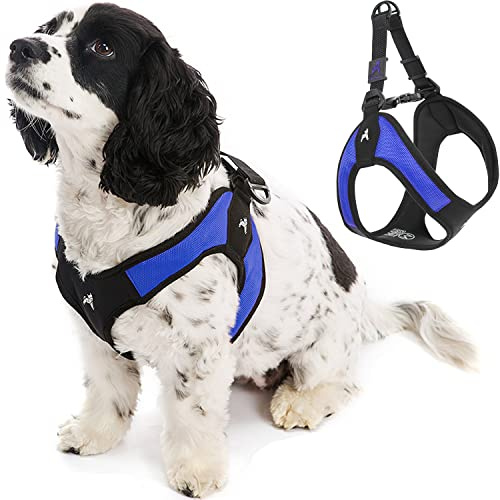 Gooby - Escape Free Easy Fit Harness, Small Dog Step-In Harness for Dogs that Like to Escape Their Harness, Blue, X-Small