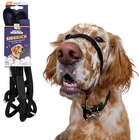 Heather's Heroes Sidekick Hundehalfter mit Leine, Sidekick-Leine für Hunde, effektives Hundetrainingswerkzeug bei Reaktivität und Verhaltensproblemen der Leine (normal (0,95 cm), Schwarz)