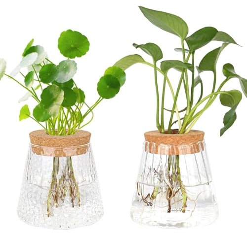 MJFENDAI Lot de 2 petits vases vintage pour plantes hydroponiques - Pour décoration de table - Vase en verre - Station de propagation - Vase sphérique pour plantes, fleurs, plantes d'intérieur