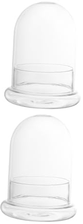 BESPORTBLE 2piezas Musgo De Botella Ecológico Vacío De Botella Ecológica De Musgo para DIY Contenedor De Paisaje para Plantas Suculentas De Escritorio Diseño De Paisaje DIY