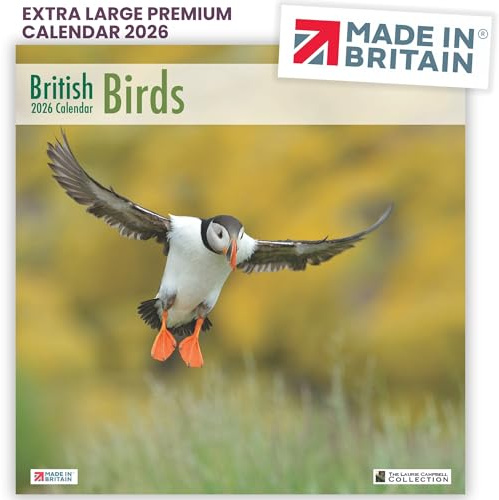 ALLTRADE Calendar 2026 British Birds Gift Wall Calendar 61x30.5cm by Laurie Campbell – Large Premium FSC® Paper, UK Holidays, Supports Woodland Trust Carbon Capture Great Gift