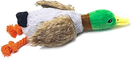 Hotype Squeaky Plüschspielzeug mit langlebiger Ente für Welpen, Training und Kauspiel
