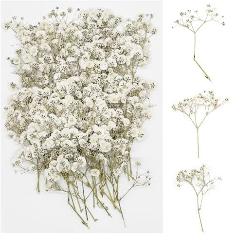 Cayway Natural Dried Pressed Flowers, 60 PCS Real Natural Pressed Flowers for Resin, Real Dried Pressed Flowers for Nail Art Scrapbooking Candle Jewelry Making, Celestial Flowers