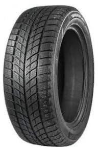 DOUBLESTAR Winterreifen 315/35 R 20 TL 106T WINTERKING DW09 BSW M+S 3PMSF