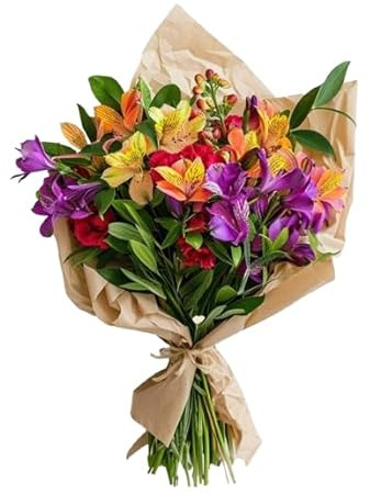 DECOALIVE | Ramo de Astromelias Naturales | Perfecto para Aniversarios y Regalos | Ramo de 30 Flores