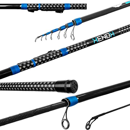 Delphin XENOX Bolognese Rute 5,0m/220g / Wg.<30g/ high Carbon beringte Stipprute