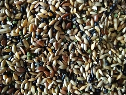 Mangime Professionale per Canarini 10Kg Miscela Naturale con Granuli VAM Ricco di Vitamine, Aminoacidi e Minerali – Alimentazione Completa per Muta, Canto e Riproduzione – Made in Italy