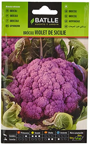 Semillas hortícolas de Batlle - Bróculi Violet de Sicile (Seeds)
