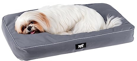FERPLAST - Cama para Perros y Gatos - Perrera ortopédica pequeña - Colchoneta para Perros - Perrera para Gatos - Impermeable y a Prueba de arañazos - Polo, 65 x 40 x h 8 CM, Gris