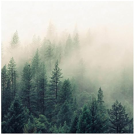 Bilderwelten Fototapete Wald 192 x 192 cm Vlies-Tapete XXL Waldtapete Wald Nebel Erwachen Smart Wandtapete Wanddekoration Wohnzimmer Schlafzimmer