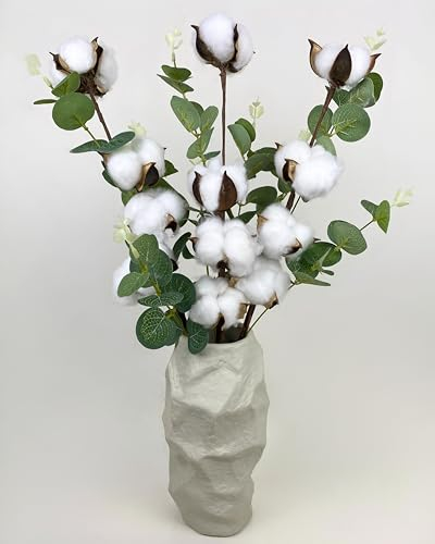 Vero ramo cotone, 3 pezzi con 4 teste ciascuna, ramo cotone essiccato, decorazione per vasi, bouquet di fiori secchi, come di nozze o decorazione da tavolo, Dried Flowers Cotton