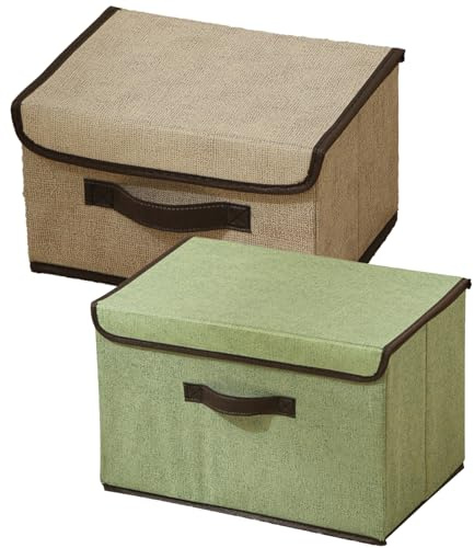 Scatola di conservazione con coperchio, scatole portaoggetti con maniglie, set di 2 scatole portaoggetti, scatola organizzatrice 37x25x25 cm, scatole di conservazione con coperchio, scatole di