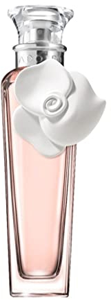 Eau de Rochas Homme, EDT, 1er Pack (1 x 100 ml)