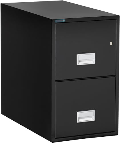PHOENIX SAFE 31 inch 2-Drawer Vertical Fireproof File Cabinet – Letter Size Filing – Key Lock – Water Resistant Seal – Fire and Impact Rated – Black Finish – Model LTR2W31B