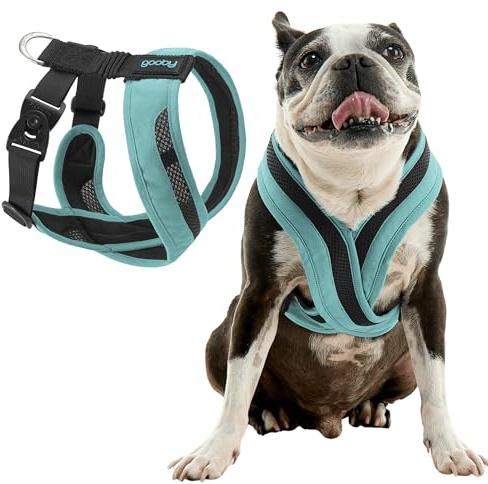 Gooby Comfort X One Dog Harness - Head-in Dog Harness for Small & Medium Sized Dogs - Escape-Free & Choke Free - Breathable Mesh, Shock Absorbing, Easy Snap & Swivel Buckles - Seattle Blue, 2X-Large