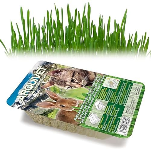 Arquivet 8435117842359 – Herbe Chats dans Plateau