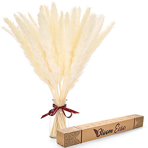 Bloom Ease Dried Pampas Grass - 30 Stems Natural Pampas Grass Decor for Boho Home, Weddings and Celebrations - 45cm Long White Fluffy Stems with a Gift Box