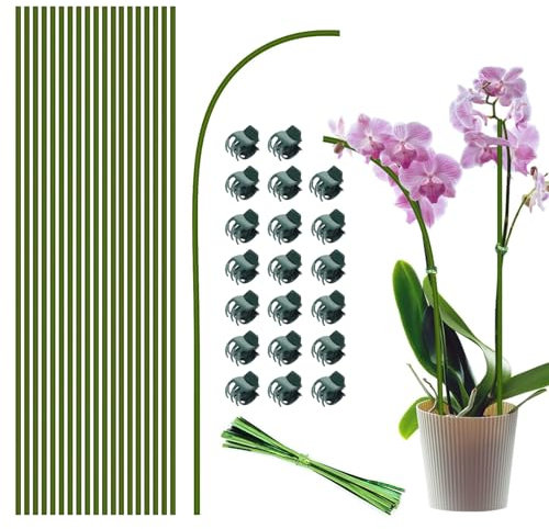 Lot de 20 piquets de 40 cm pour plantes de jardin pliables à tige unique pour plantes d'intérieur et d'extérieur, plantes en pot, fleurs, orchidée, pivoine, rose