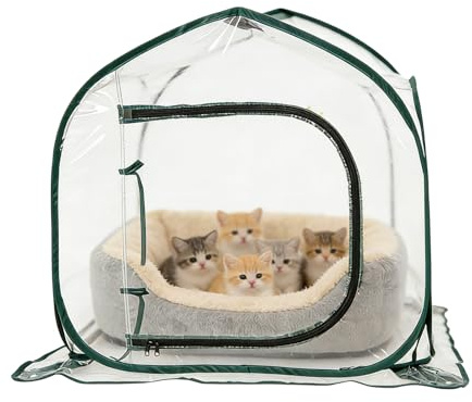 Invernadero instantáneo, plegable, transparente para clima frío, invernadero instantáneo para plantas | para parches de fresas, patio, huertos, jardín, patio, arbustos, verduras, flores