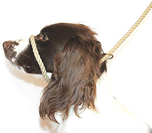 Dog & Field Figure 8 Anti-Pull Lead/Halter/Head Collar/Harness (Natural)