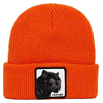 Goorin Bros. Mütze Unisex für Erwachsene, Orange (Panther Vision), One size