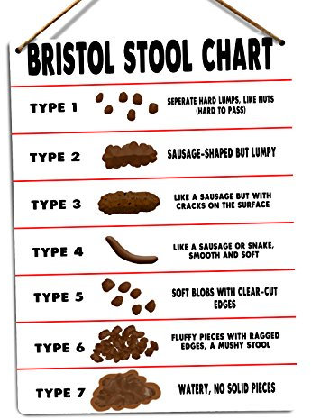 Bristol Stool Chart Twine - Metal Wall Sign Plaque Art Inspirational
