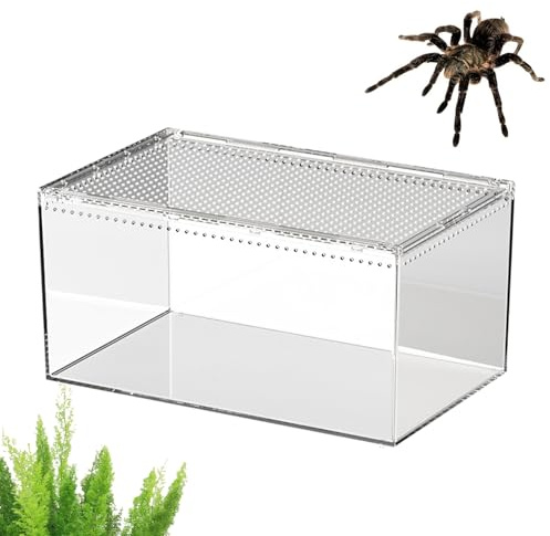 Spider Fence - Large Size 11.81x7.87x5.91 Inches, High Airflow, Spacious Terrarium Arrangement | Youth Bearded Dragon Stations, Playback Corners