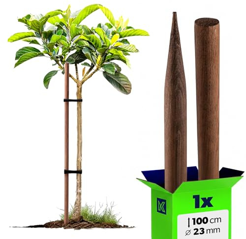 KADAX Trästång 100 cm x 23 mm, växtstång av impregnerat trä, växtstöd, trästolpe som växtstöd för växter, träd och buskar, trädstolpe