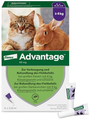 Elanco Advantage Spot-On 80 für große Katzen und Zierkaninchen ab 4 bis 8 kg, wirksamer Schutz vor Flöhen und Flohbefall bis 4 Wochen, einfache Spot-on-Anwendung, 4 Pipetten mit 0,8 ml Lösung