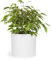 Fox&Fern Übertopf M - Blumentopf Gross inkl. Wasserabfluss - Blumentopf hoch 24cm - Übertöpfe für Zimmerpflanzen - 25cm Durchmesser - Pflanzentöpfe groß - Plant Pot - weiß