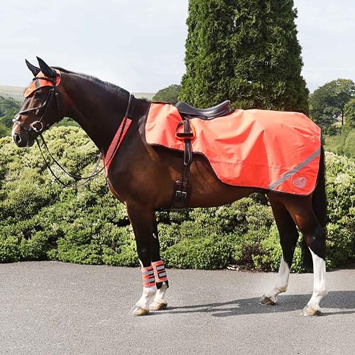Masta Hi-Viz Waterproof Horse Exercise Sheet with Fleece Lining, Reflective Safety Strips for Visibility, 600D Oxford Weave, Fits Over Saddle - Orange - PONY