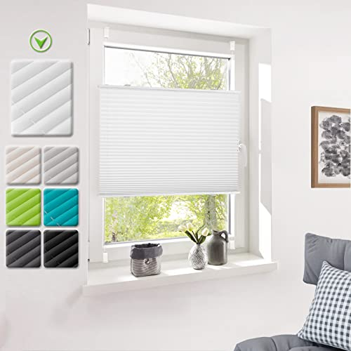 Deswell Plissee ohne Bohren Klemmfix Weiß B105 x H120 cm Plisseerollo Sonnenschutz und Sichtschutz Jalousien Easyfix Plissees Lichtdurchlässig Rollo für Fenster & Tür