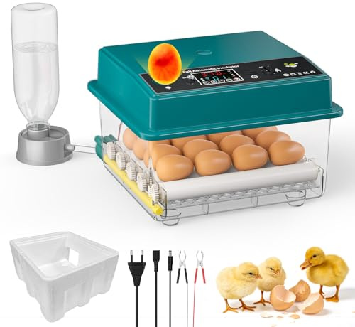 Incubadora Huevos Gallina, Incubadora de 16-64 Huevos con Volteo Automático de Huevos y Humidificación Automática, Fuente de Alimentación Dual, Pantalla LED, Lámpara de Huevo (16 Huevos)