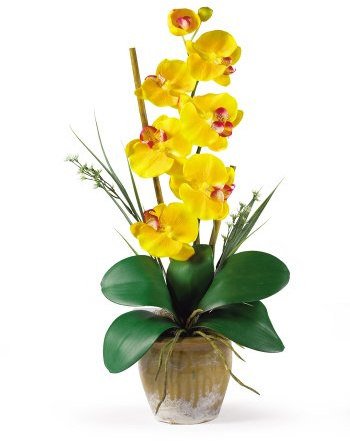 Nearly Natural Phalaenopsis Silk Orchid Flower Arrangement