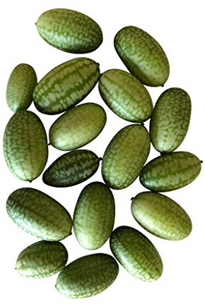 20 Semillas -Melothria scabra-Mini Pepino Mexicano-By Samenchilishop