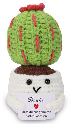 BOAITE Regalo de agradecimiento, lirio del valle, amuleto de la suerte, lirio del valle de punto, regalos para amigos, colegas y familia, papa positiva sustituto alemán (cactus)