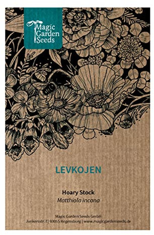 Giroflée d'été (Matthiola incana) env. 100 semences