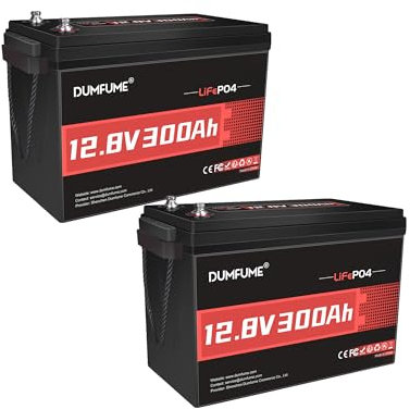 Dumfume Lot de 2 Batteries LiFePO4 12V 300Ah - 15000+ Cycles, BMS 200A, 3840W - Batterie Lithium Phosphate Rechargeable pour Stockage Solaire, Camping-Car et Applications Hors-Réseau