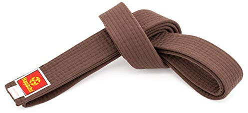 Hayashi Budogürtel - braun, Gr. 330 cm