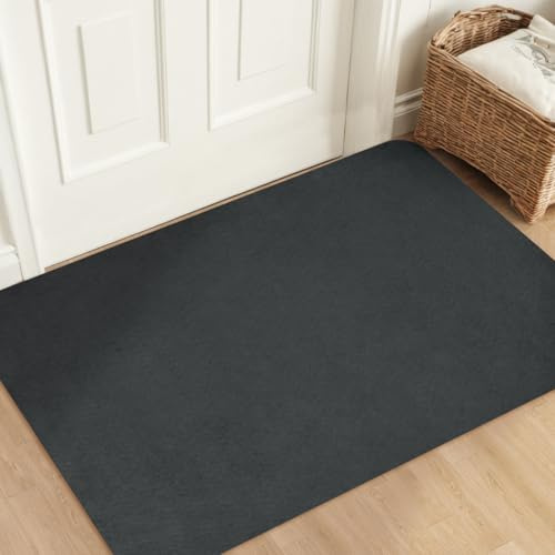 Aoxisicoo Paillasson 80x120cm, Tapis Superfin pour Intérieur, Moquette Absorbante Antidérapante, Tapis de Porte Robuste, Pour Entrée, Cuisine, Terrasse, Porte d’Entrée, Gris Foncé