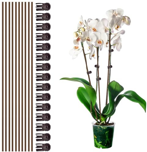Lot de 10 Tuteurs pour Plantes avec 15 Pinces, tiges Flexibles de 45,7 cm de Haut, Pinces à orchidées Marron pour la Croissance des Fleurs d'intérieur et d'extérieur, Roses, Amaryllis