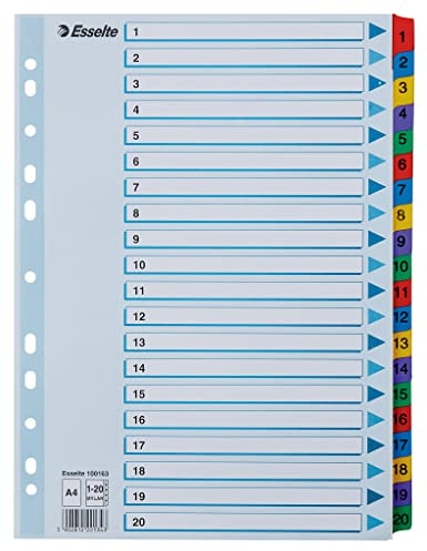 Esselte A4 1-20 Index, Heavy Duty Cardboard with Mylar Reinforced Tabs, Blue/Multicolour