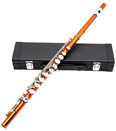 TSTS 16-Loch C Schlüsselflöte Für Anfänger Kinder Studenten Mit Box Putztuch Handschuhe Zubehör Einsteiger Querflöten (Color : 01)